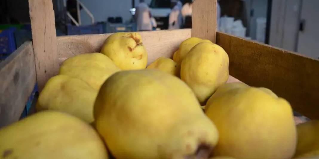 Kadın emeği kendini gösteriyor! Günde 10.000 tane üretim yapılıyor: ABD ve Rusya’ya bile satılıyor 2
